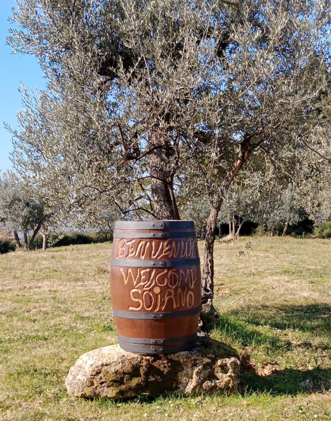 Agriturismo Soiano Famiglia Rolfini Montaione Extérieur photo